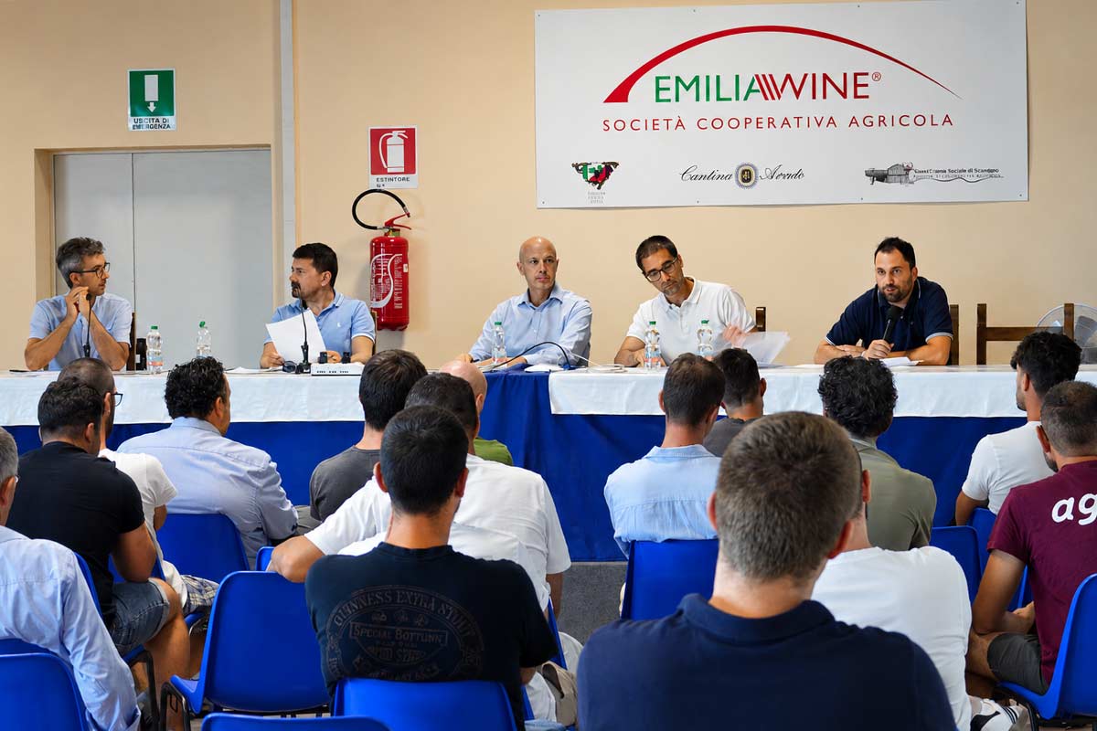 Il Lambrusco attende idee giovani